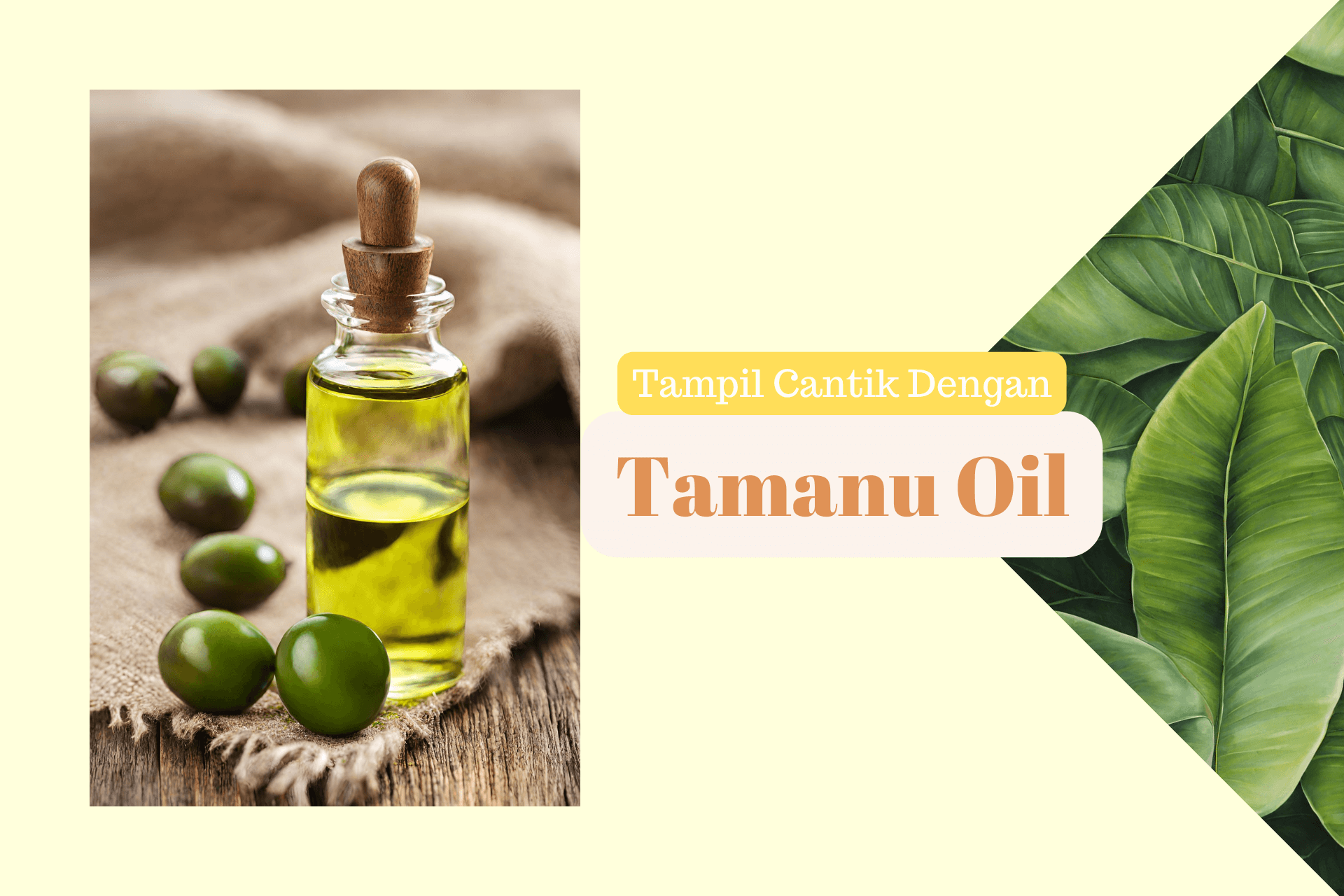 Tampil Cantik Dengan Tamanu Oil